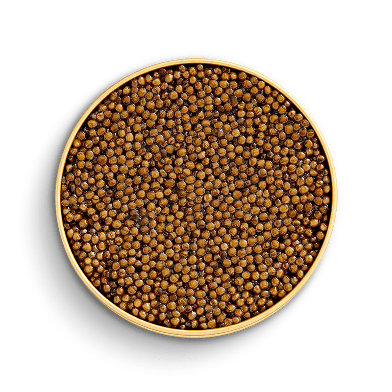 CLIFF ROYALE - CAVIAR NANTUCKET