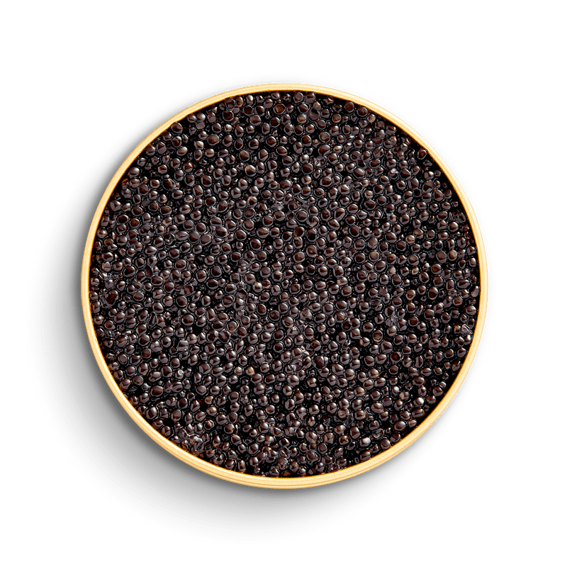 #thegreylady# - #caviarnantucketThe Grey Lady Luxury Nantucket Caviar - Exquisite Grey Lady Caviar#